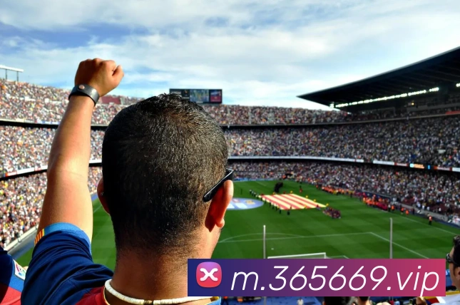 bet365发展历程